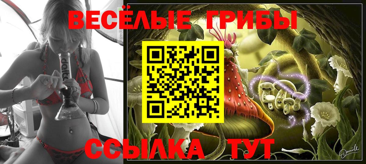 Псилоцибиновые грибы Psilocybe  Галлюциногенные грибы Magic Shrooms  Вход с VPN  Химки 