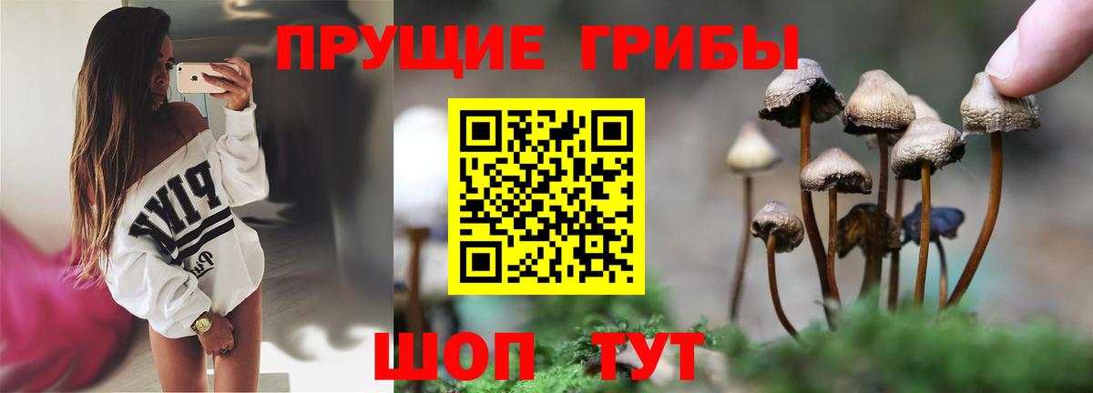 Галлюциногенные грибы ЛСД Химки